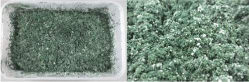 SỬ DỤNG TRẤU LÀM CHẤT MANG MỚI TRONG SẢN XUẤT CHẾ PHẨM VI SINH